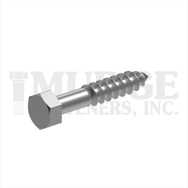 251031L0100SS 5/16 X 1" LAG BOLT STAINLESS